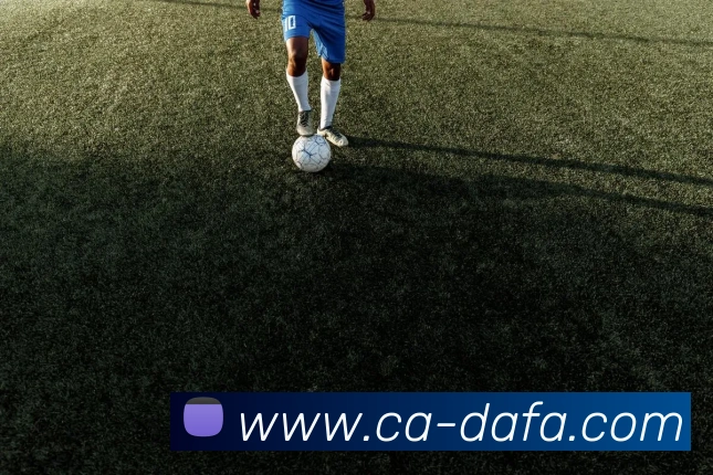 大发彩票APP 封面图